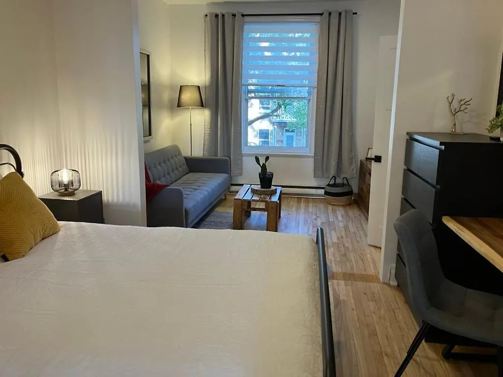 Sunny Loft Apartment Montreal